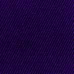 No.7京紫